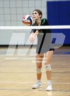 Photo from the gallery "Skyline @ Dobson"