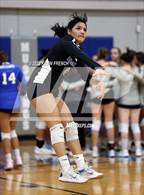 Photo from the gallery "Skyline @ Dobson"