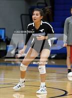 Photo from the gallery "Skyline @ Dobson"