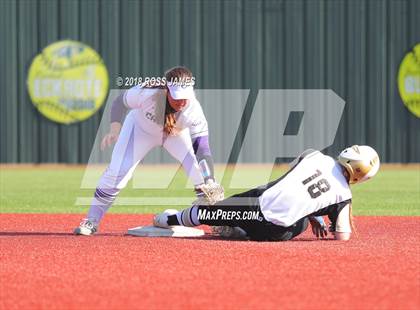 Thumbnail 3 in The Colony vs Canyon  photogallery.