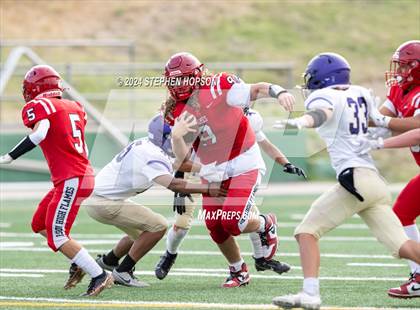 Thumbnail 1 in Tokay @ Lodi photogallery.