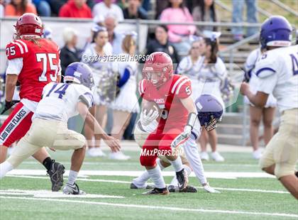 Thumbnail 1 in Tokay @ Lodi photogallery.