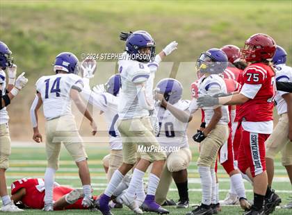 Thumbnail 2 in Tokay @ Lodi photogallery.