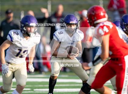 Thumbnail 2 in Tokay @ Lodi photogallery.