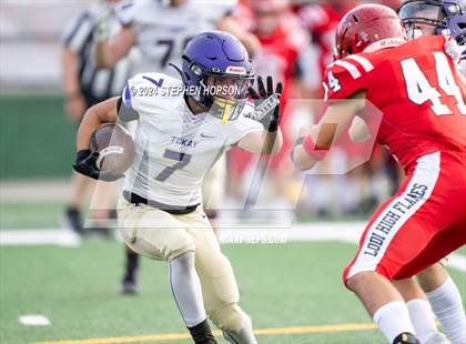 Thumbnail 1 in Tokay @ Lodi photogallery.