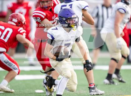 Thumbnail 2 in Tokay @ Lodi photogallery.