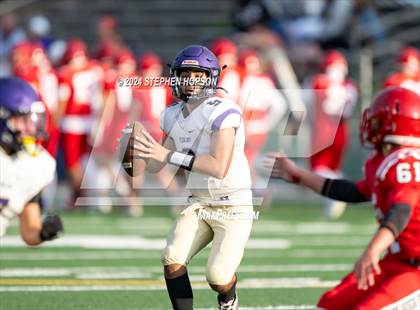 Thumbnail 1 in Tokay @ Lodi photogallery.