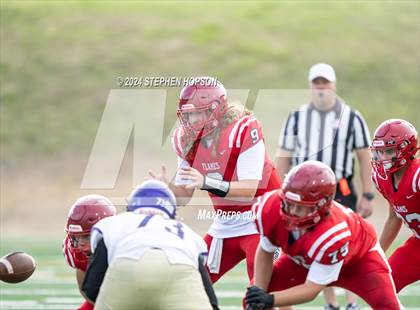 Thumbnail 2 in Tokay @ Lodi photogallery.