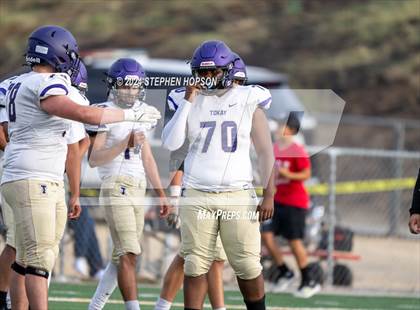 Thumbnail 1 in Tokay @ Lodi photogallery.