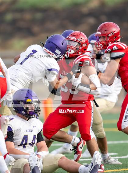 Thumbnail 1 in Tokay @ Lodi photogallery.