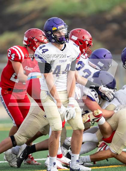 Thumbnail 2 in Tokay @ Lodi photogallery.