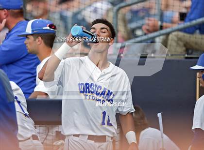 Thumbnail 3 in Corsicana vs. Lone Star (UIL 5A Regional Semifinal) photogallery.