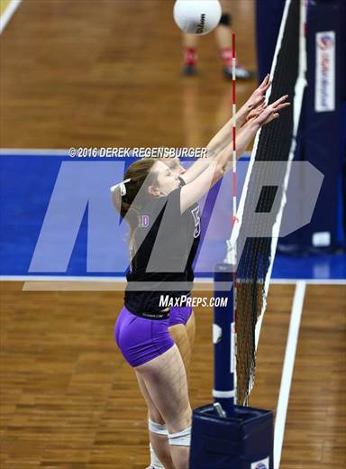 null - Photo 31