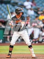 Photo from the gallery "Chaparral @ Corona del Sol"