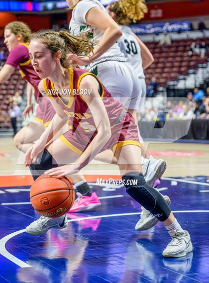 Thumbnail 1 in Northwest Catholic vs. Sheehan (CIAC MM Final) photogallery.