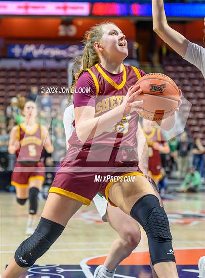 Thumbnail 3 in Northwest Catholic vs. Sheehan (CIAC MM Final) photogallery.