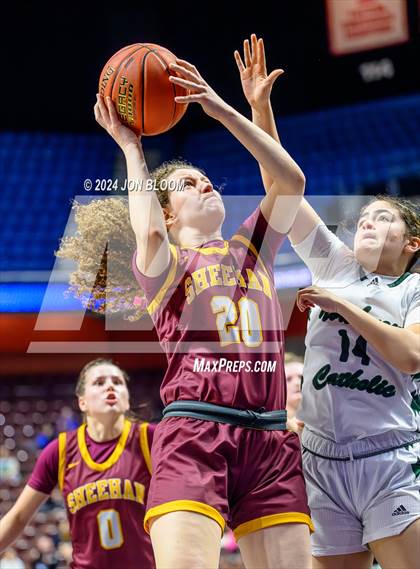 Thumbnail 3 in Northwest Catholic vs. Sheehan (CIAC MM Final) photogallery.