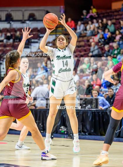 Thumbnail 1 in Northwest Catholic vs. Sheehan (CIAC MM Final) photogallery.