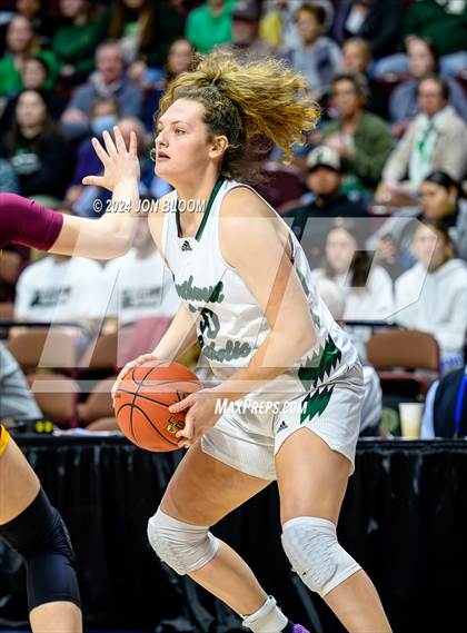 Thumbnail 3 in Northwest Catholic vs. Sheehan (CIAC MM Final) photogallery.
