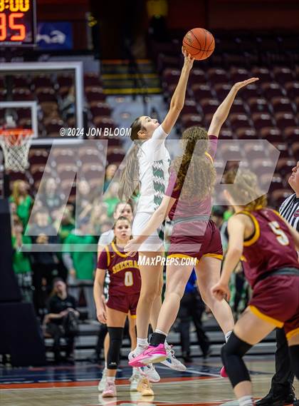 Thumbnail 1 in Northwest Catholic vs. Sheehan (CIAC MM Final) photogallery.