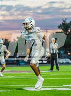 Photo from the gallery "Pope @ Woodstock"