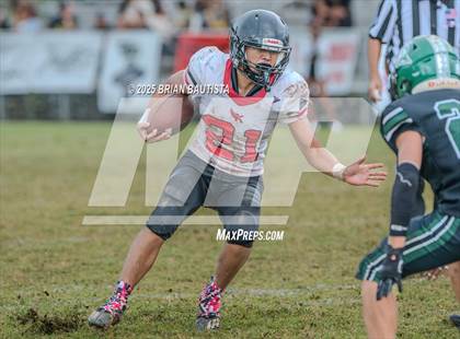 Thumbnail 1 in Kauai @ Kapa'a photogallery.