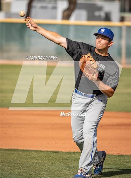 Thumbnail 1 in Chandler @ Hamilton photogallery.