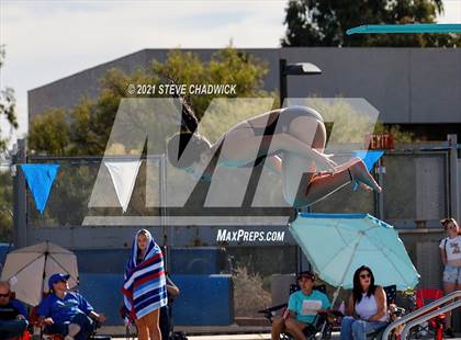 Thumbnail 3 in Phoenix Country Day Small School Invitational (Diving) photogallery.