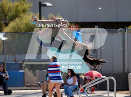 Thumbnail 1 in Phoenix Country Day Small School Invitational (Diving) photogallery.