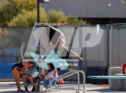 Thumbnail 3 in Phoenix Country Day Small School Invitational (Diving) photogallery.