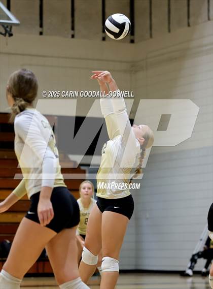 Thumbnail 3 in JV: Croatan @ Havelock photogallery.