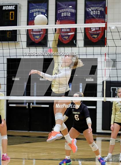 Thumbnail 3 in JV: Croatan @ Havelock photogallery.