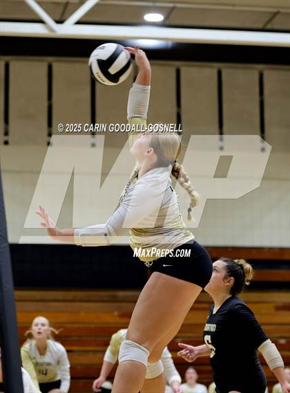 Thumbnail 3 in JV: Croatan @ Havelock photogallery.