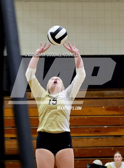Thumbnail 1 in JV: Croatan @ Havelock photogallery.