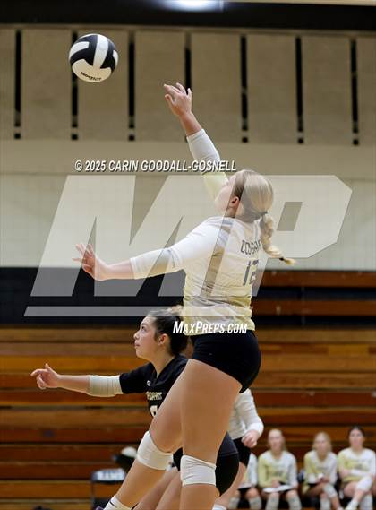 Thumbnail 3 in JV: Croatan @ Havelock photogallery.