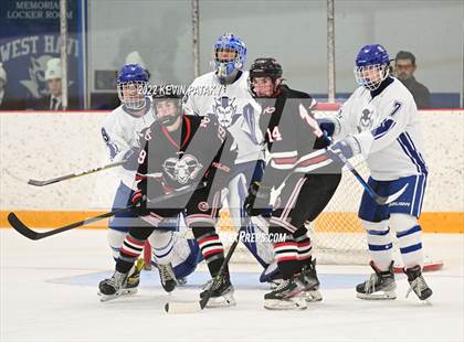 Thumbnail 3 in New Canaan @ West Haven photogallery.