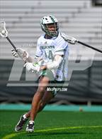 Photo from the gallery "Walton @ Westminster"