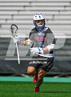 Photo from the gallery "Walton @ Westminster"