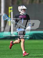 Photo from the gallery "Walton @ Westminster"