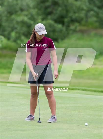 Thumbnail 2 in Section 9 Girls Golf Championship (Day 1) photogallery.