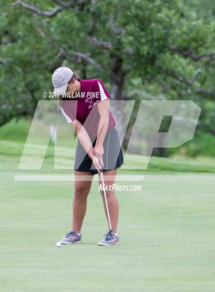 Thumbnail 3 in Section 9 Girls Golf Championship (Day 1) photogallery.