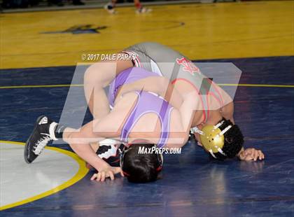 Thumbnail 2 in NYSPHSAA Wrestling Championships (Division 2 Finals) photogallery.