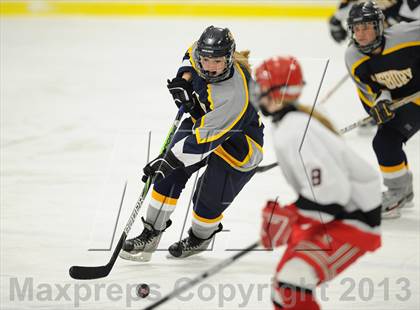 Thumbnail 3 in Simsbury @ New Canaan photogallery.