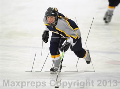 Thumbnail 3 in Simsbury @ New Canaan photogallery.