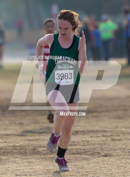 Thumbnail 3 in CIF Central Section Cross Country Championships (Girls D4 Race) photogallery.