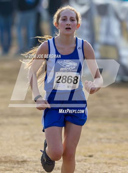 Thumbnail 2 in CIF Central Section Cross Country Championships (Girls D4 Race) photogallery.