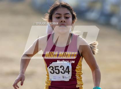 Thumbnail 1 in CIF Central Section Cross Country Championships (Girls D4 Race) photogallery.