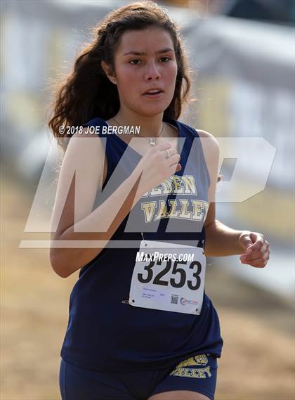 Thumbnail 1 in CIF Central Section Cross Country Championships (Girls D4 Race) photogallery.