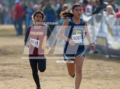 Thumbnail 1 in CIF Central Section Cross Country Championships (Girls D4 Race) photogallery.