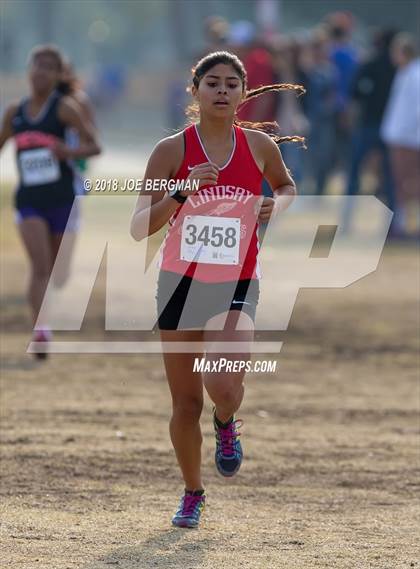 Thumbnail 1 in CIF Central Section Cross Country Championships (Girls D4 Race) photogallery.